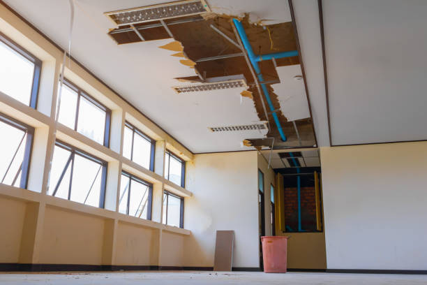 Best Water damage contractors near me  in East Moriches, NY