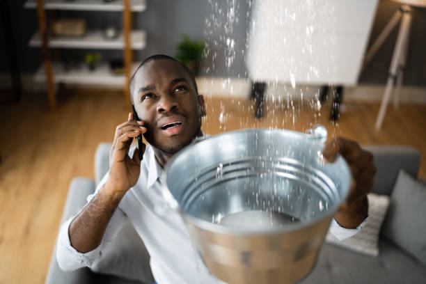 Best Local water damage restoration  in East Moriches, NY