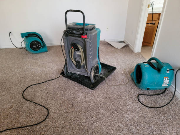 Best Water damage cleanup near me  in East Moriches, NY