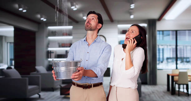 Best Flood damage cleanup  in East Moriches, NY
